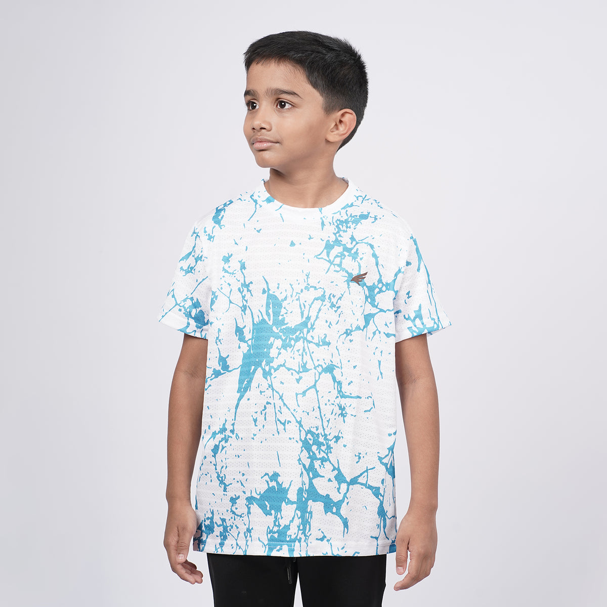 Boys Printed Round Neck Regular Fit T-Shirt