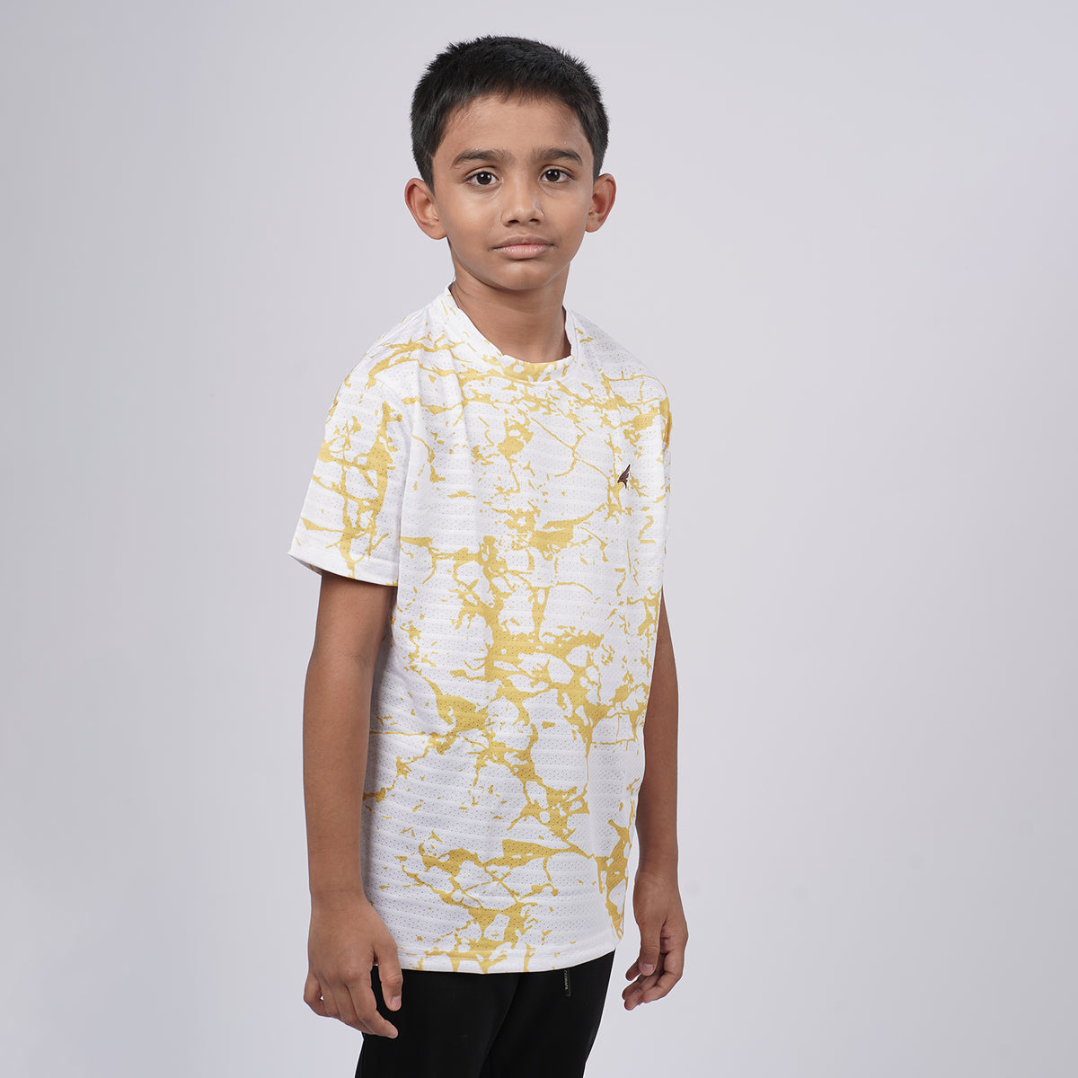 Boys Printed Round Neck Regular Fit T-Shirt