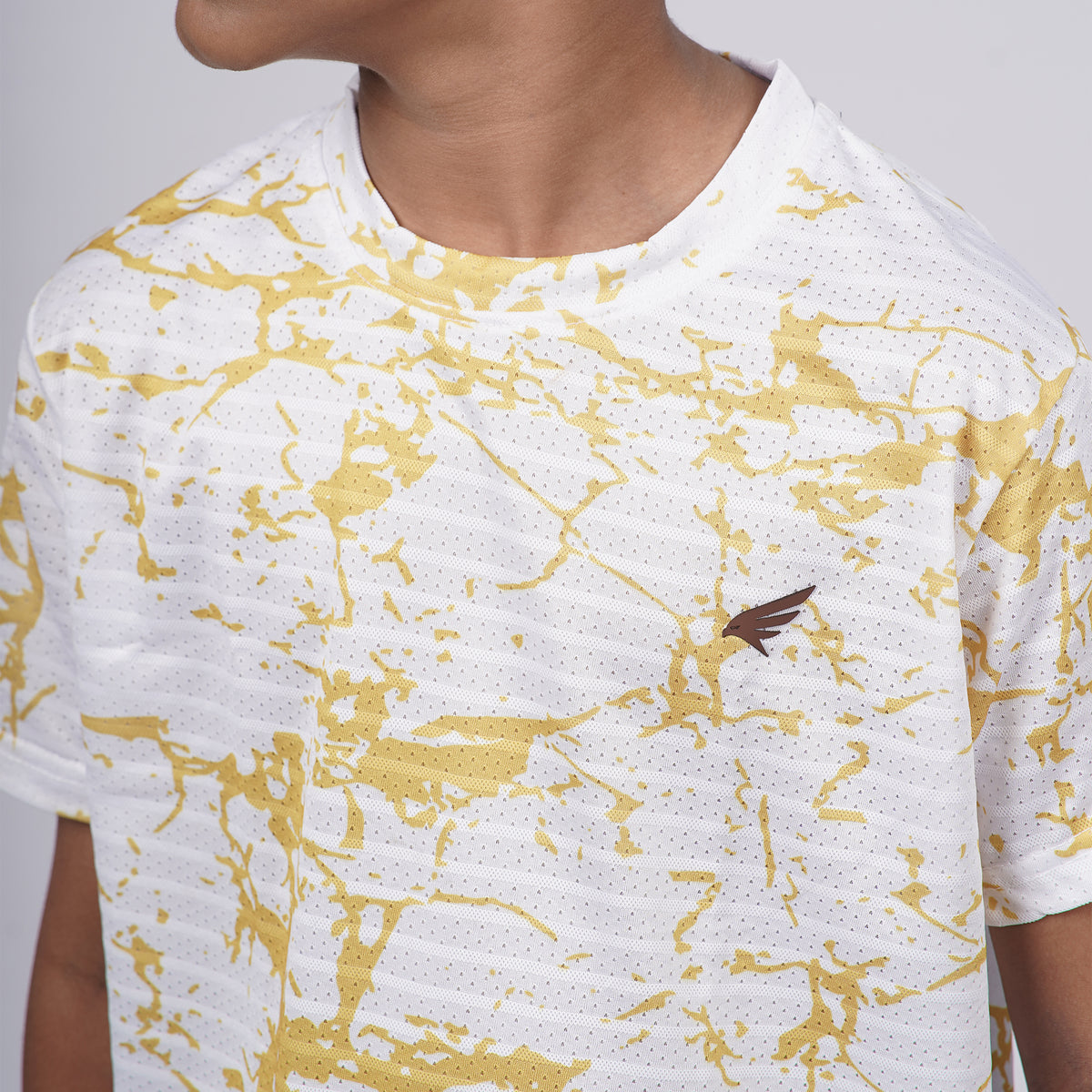 Boys Printed Round Neck Regular Fit T-Shirt